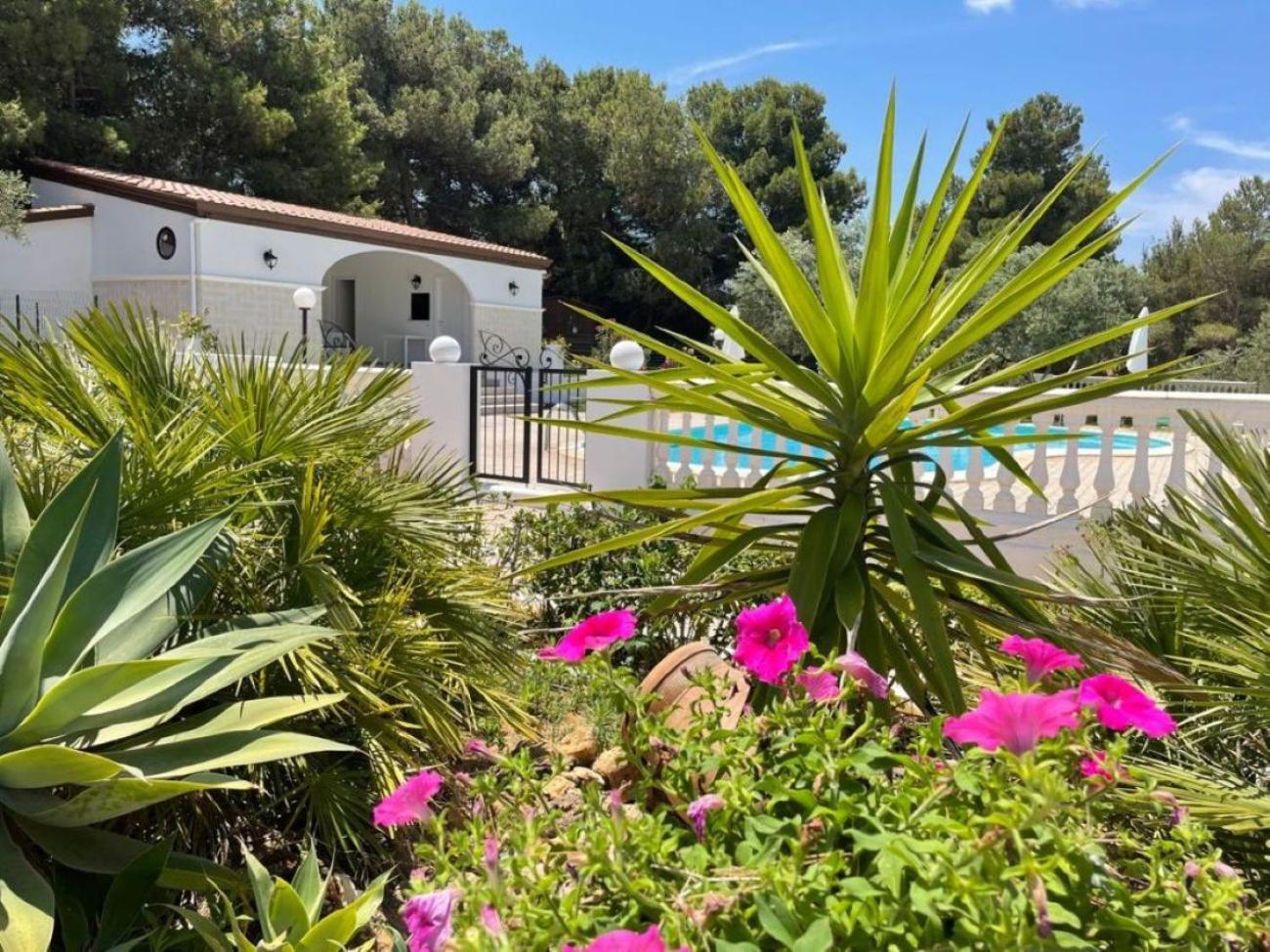 Villa Nunziatella Badia ترابيتو المظهر الخارجي الصورة