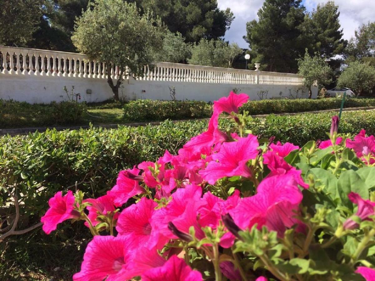 Villa Nunziatella Badia ترابيتو المظهر الخارجي الصورة